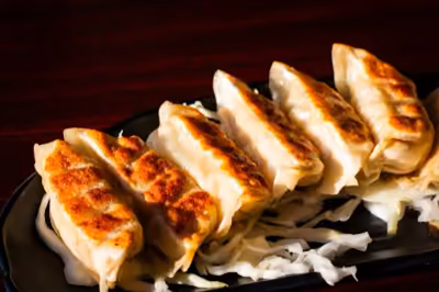 Paneer Tandoori Momos