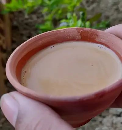 Hood's Sp. Tea